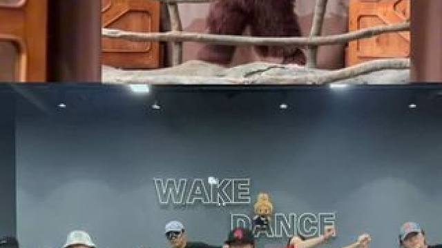 舞房来了一只labubu~再跳一次吧#泡泡玛特城市乐园 #zimomo #精灵啦啦操zimomo #