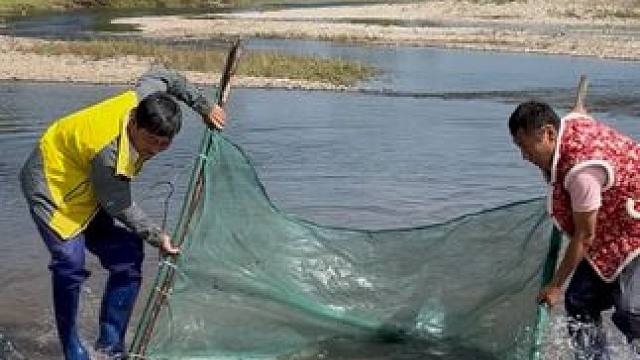 #户外捕鱼 #好多鱼