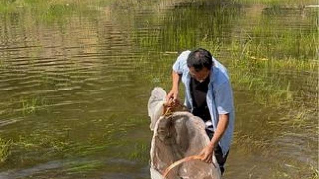 #户外捕鱼 #好多鱼