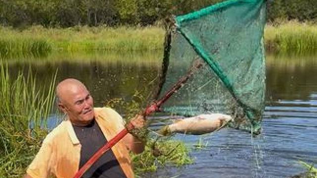 #户外捕鱼 #好大一条鱼