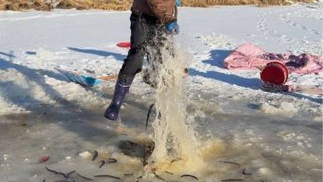 #户外捕鱼 #好多鱼