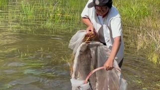 #户外捕鱼 #好多鱼