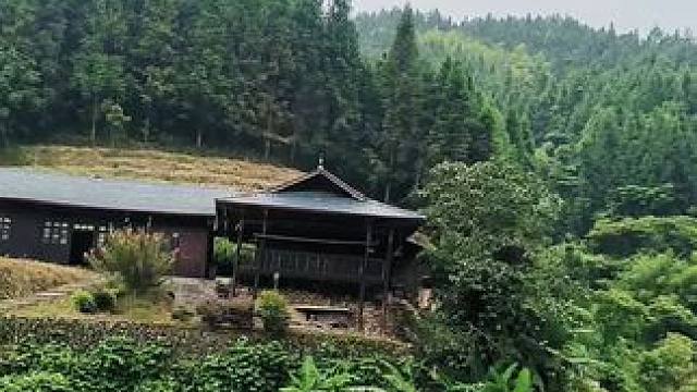 有人说有理走遍天下，现在这个社会有理有什么用，有钱有势有权才能走遍天下，你觉得我说的对吗？#农村大实