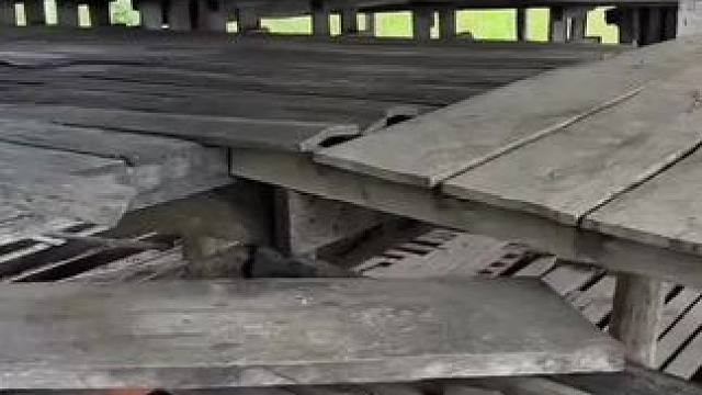 东南亚乡村生活 #东南亚八面佛 #东南亚美食 #我的乡村生活 #农村生活