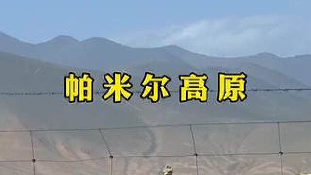 帕米尔高原上的精灵#旅行 #新疆 #帕米尔高原 #高原上的神奇动物们