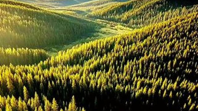 大兴安岭风景。#感受大自然的气息和美景 #真实美景的视频 #原创摄影 #记录旅游生活