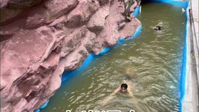 重生之我在乡下打造山崖瀑布水景池之防水挑战。#荒野建造 #养鱼日记 #新农人计划2024 #游泳池 