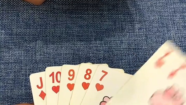 王炸，66，然后拼单