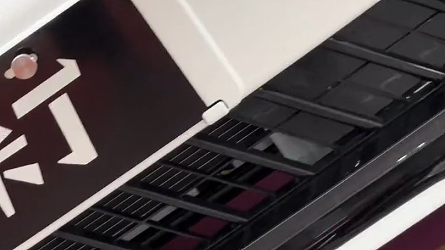 #星瑞 #星瑞L智擎 #熊猫mini