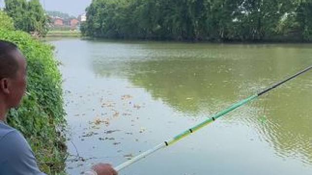 只是一介俗人，能平平淡淡过好每一天就可以了…