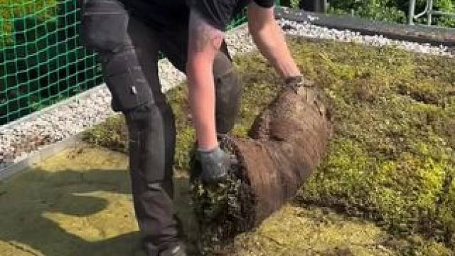 屋顶防水和阳光露台的施工过程！ #防水补漏 #阳光露台改造 #解压视频 #极度舒适 #防水施工