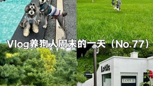 第77集｜vlog上班族养狗人周末的一天 #vlog#养狗#记录真实生活#丸美小红笔眼霜#眼霜