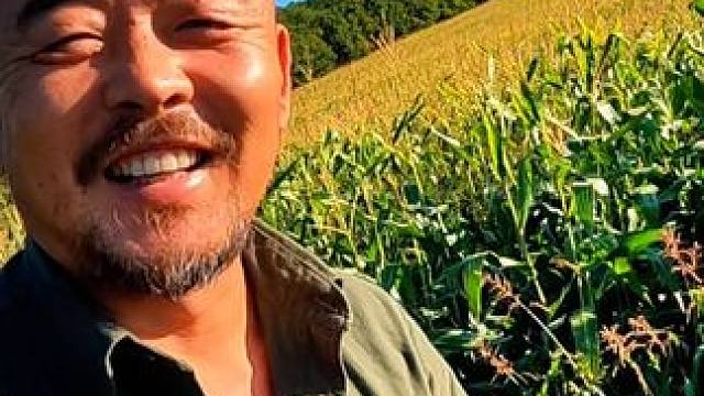 沙和尚来到山里采蘑菇，没想到太多了，大山里喝一个压压惊 #山野自然 #大山里的味道 #乡野田间 