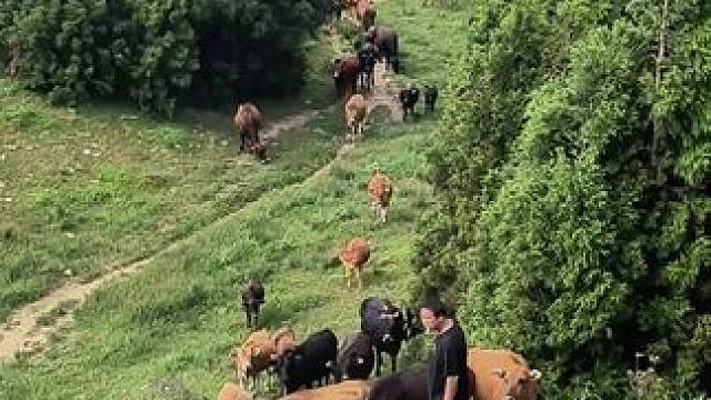 龙船塘瑶族乡的老山草场是一个著名的旅游景点，位于洪江市南部，是洪江、会同、绥宁、洞口四县(市)的交界
