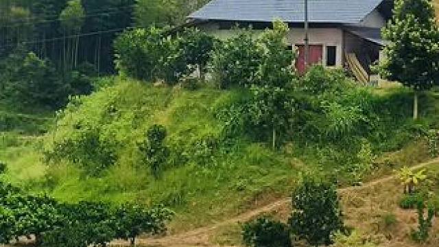 #大实话 #实话实说 #农村生活 #说出农民的心声