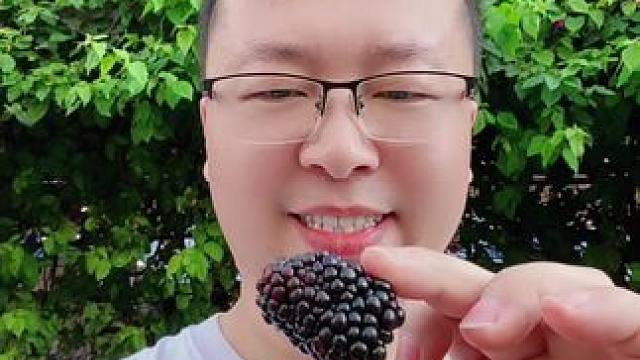 草莓有黑色品种么❓❓❓ #美食分享 #新鲜应季水果 #今天吃什么 #嘎嘎好吃 #盘它就完了