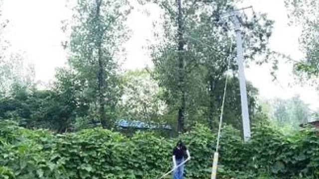 熊我“仰住信球脸”
人家萝卜白菜都出来了 脸垮垮里 咋了又 #田间地头 #乡愁记忆 #农村生活