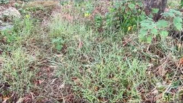 钓鱼的人这个标题你来取 钓鱼的人
这个标题你来取
#2024dou来钓鱼