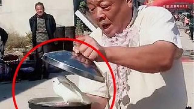 民间高手变鸽子，多年秘密破解了 #魔术教学