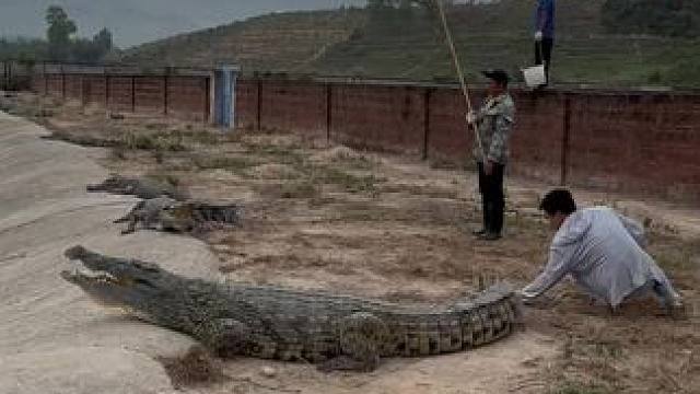 我发布了一个新视频，快来围观吧！