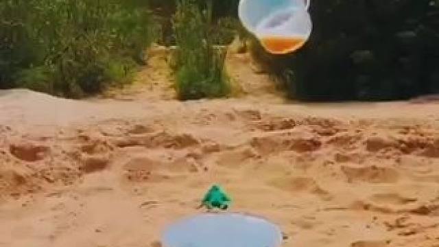 #解压 #轻松一刻 #极度舒适 #科普 #不可思议