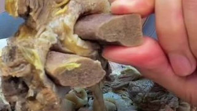 我发布了一个新视频，快来围观吧！