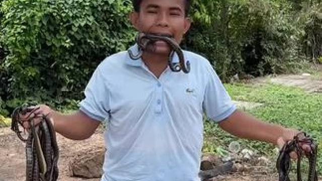 东南亚矮子（水煮黄鳝鱼）