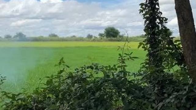 地包天户外野炊烤鱼 #我的乡村生活 #东南亚美食 #农村生活