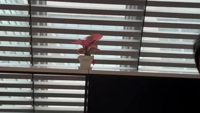 #会唱歌的院子 会～唱～歌～的～院～子，你们看了吗？#马凡舒 #姚琛 #王昱珩 #张大仙