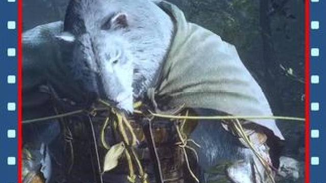 四周目还是能一闷棍打到虎王，打铁老虎打法，这是十二生肖寅虎比较难打#黑神话悟空创作激励 #黑神话悟空