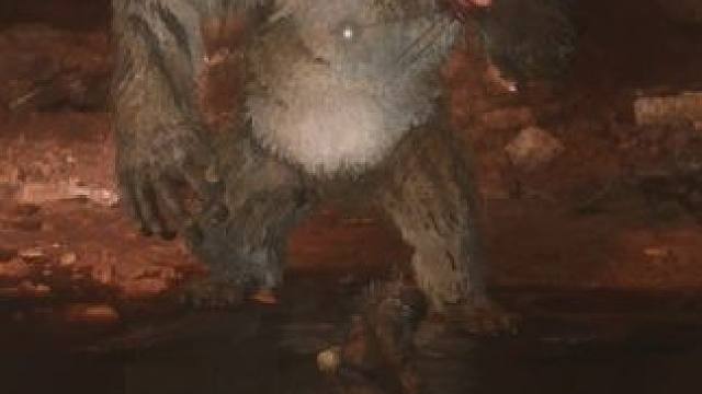 疯虎 #黑神话悟空 #疯虎