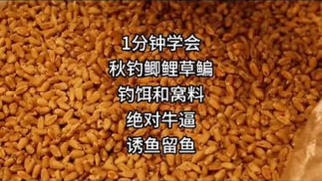 1分钟学会做鲫鲤草鳊鱼饵秋季专用鱼饵 1分钟学会
做鲫鲤草鳊鱼饵
秋季专用鱼饵
#爆护饵料 #鱼饵 
