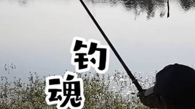 钓鱼人的精致世界，寻回对钓者的正确认知，被误解的细腻灵魂 钓鱼人的精致世界，寻回对钓者的正确认知，被