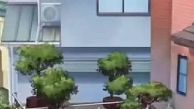 我发布了一个新视频，快来围观吧！