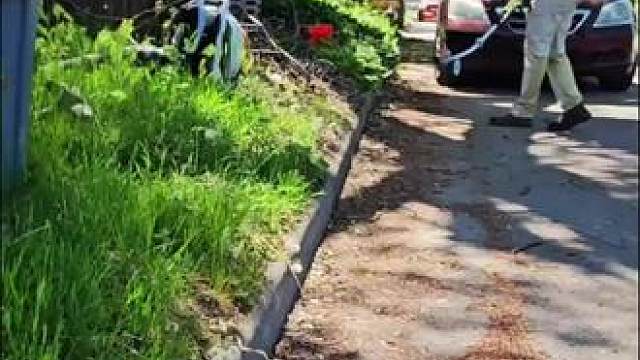 清理杂草 #国外视频分享 #解压 #割草机 #极度舒适