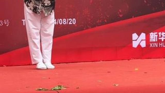 拳风呼啸，武艺独秀，见证力量瞬间