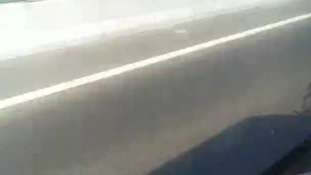 疯狂的迷途羔羊