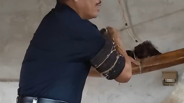 满满的回忆啊，这样的手艺现在都失传了[捂脸]