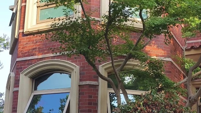 什么？我这是来到了园林美景吗？#TINNO帝诺系统入户门 #偏轴门 #别墅门 #上海 #系统门