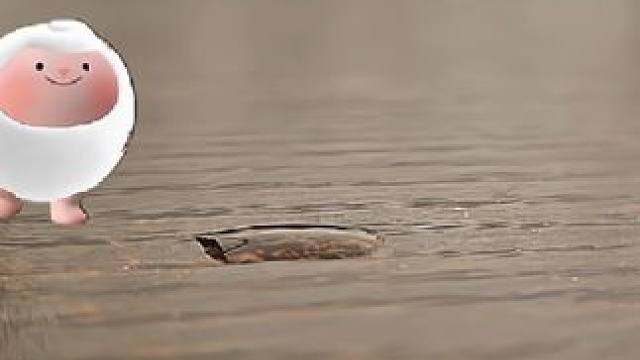 擦地小羊 #蛋仔小剧场