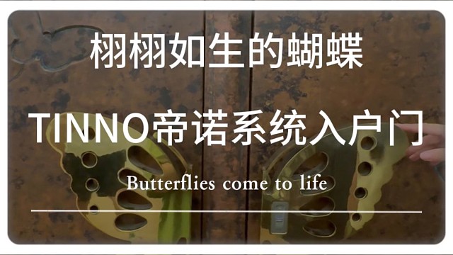 栩栩如生的蝴蝶