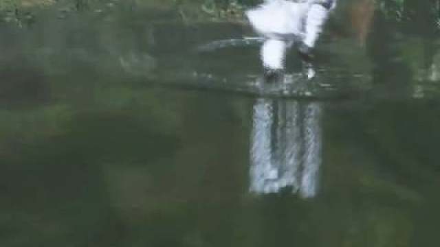 以防你不知道猴哥的棍花可以挡秀士的剑气棍花可以挡飞行道具，还能积攒很多棍势，一举两得！有没有现在才知