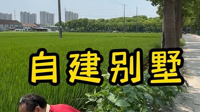 上海嘉定马陆立新村邹家宅自建房别墅户型和北管村差不多我们参与内部设计要装修找曼城靠谱#立新村邹家宅#