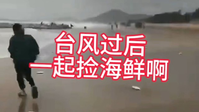 来捡海鲜啊