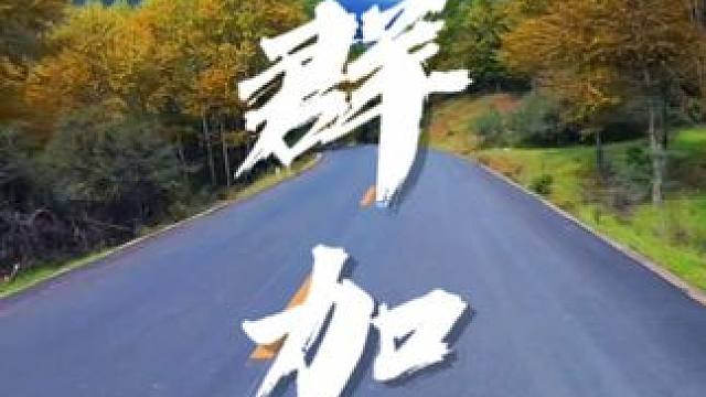 群加的秋天已经在来的路上了#凯越525x #青海 #秋天落叶