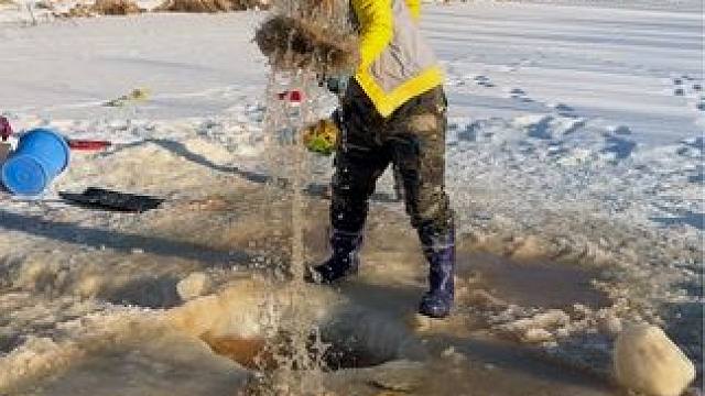 #户外捕鱼 #好多鱼