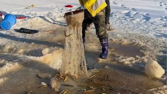 #户外捕鱼 #好多鱼