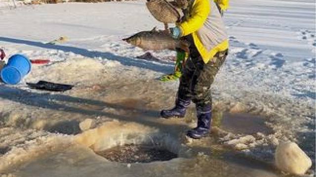 #户外捕鱼 #好多鱼