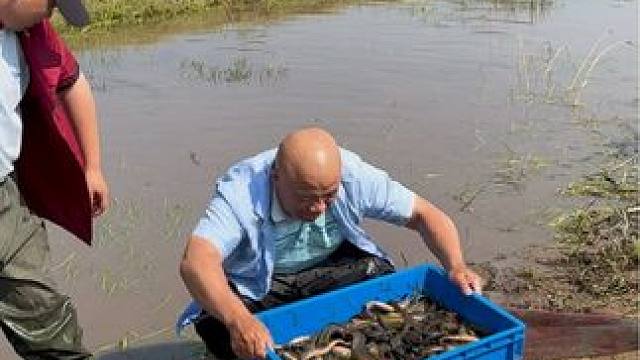 #户外捕鱼 #好多鱼