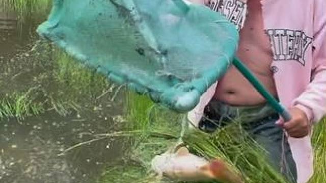 #户外捕鱼 #好大一条鱼